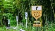 波子跑山“莫干山001号线”首发